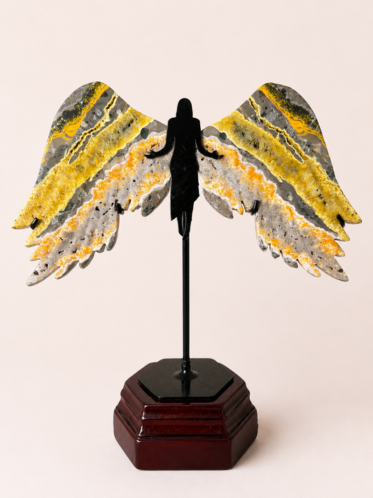 Crystal Angel Wings ✨