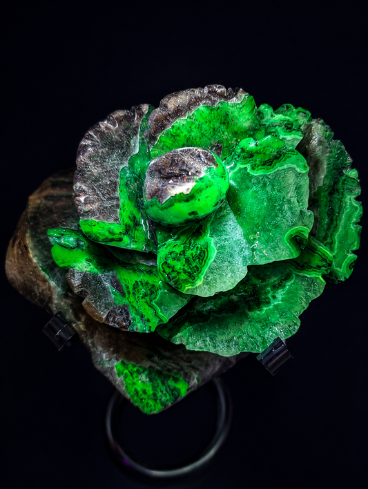 Volcano Agate Rose