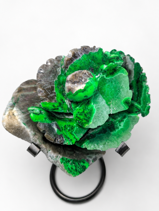 Volcano Agate Rose